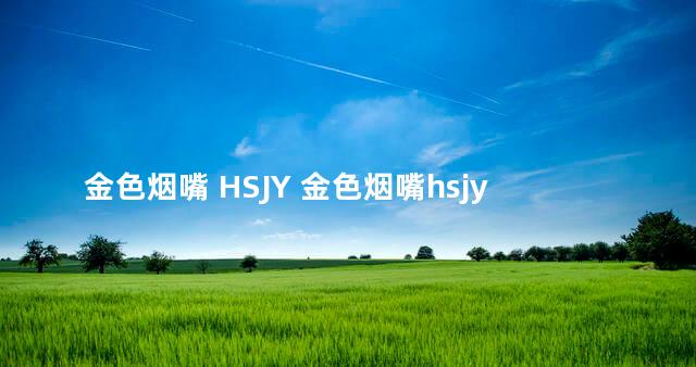 金色烟嘴 HSJY 金色烟嘴hsjy是什么烟
